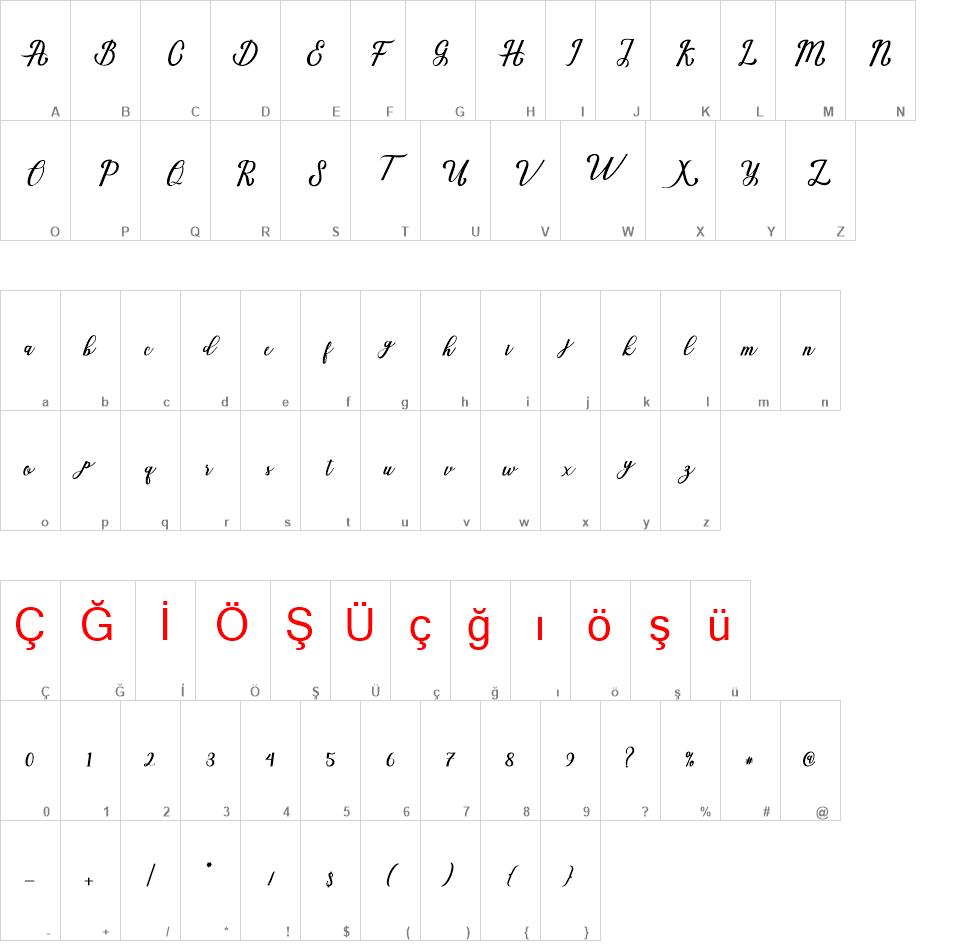 Natural Script font